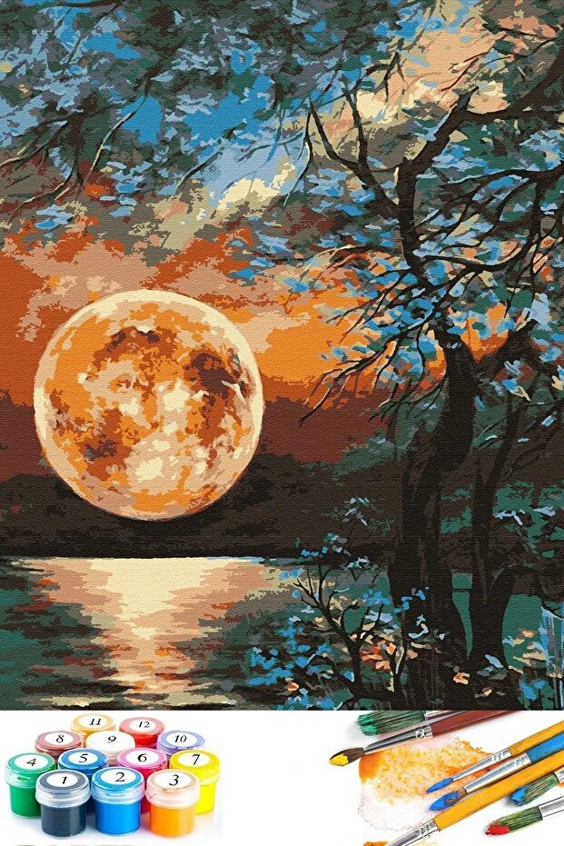 Sayılarla Boyama Seti Çerçeveli 40x50 Cm